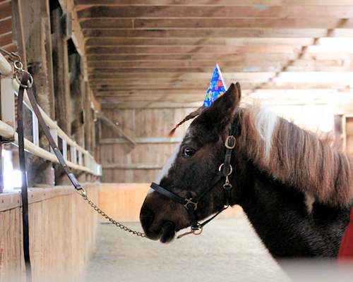 Party Hat